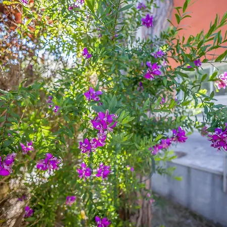 וילה Gavamar
